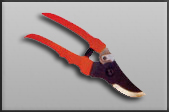 Lady Pruner