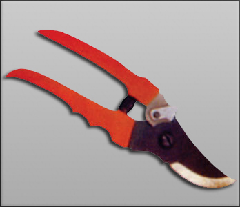 Garden Lady Pruner